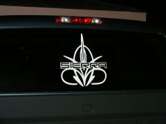 Rear window decal 