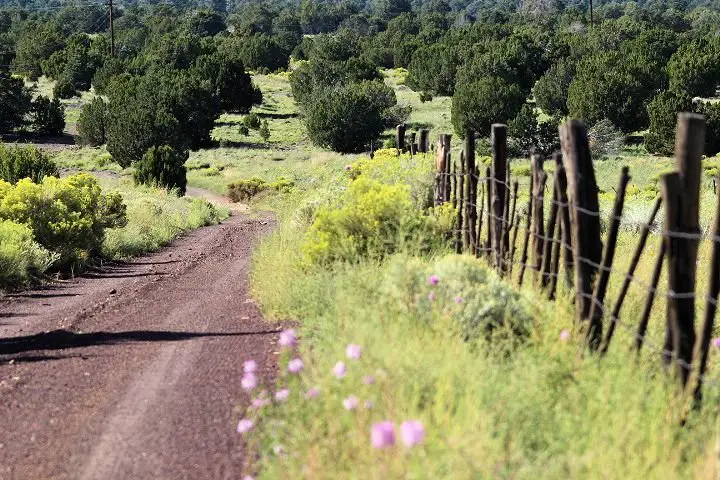 Northern AZ by Flagstaff.